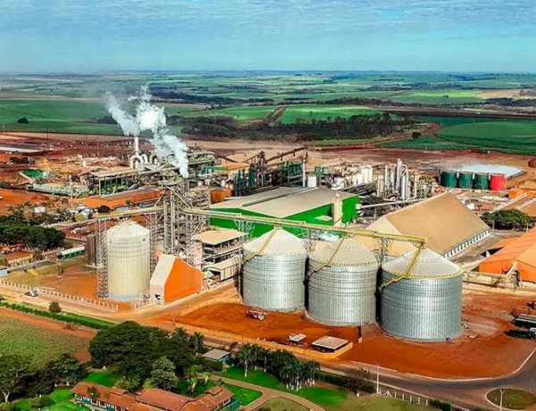 Cargill tem lucro de R$ 1,7 bilhão em 2025