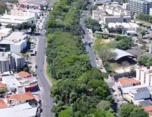 Justiça suspende licitação de obra que prevê derrubada de árvores na Murchid