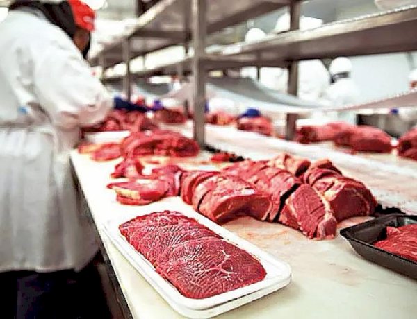 Carne bovina