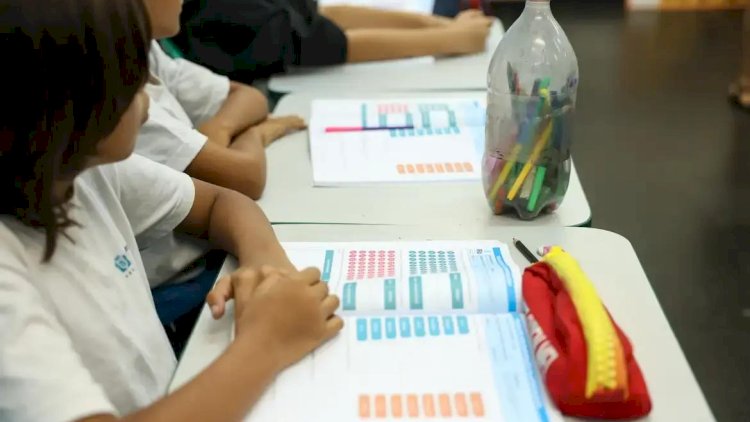 Censo registra queda de 1 milhão de matrículas na educação básica