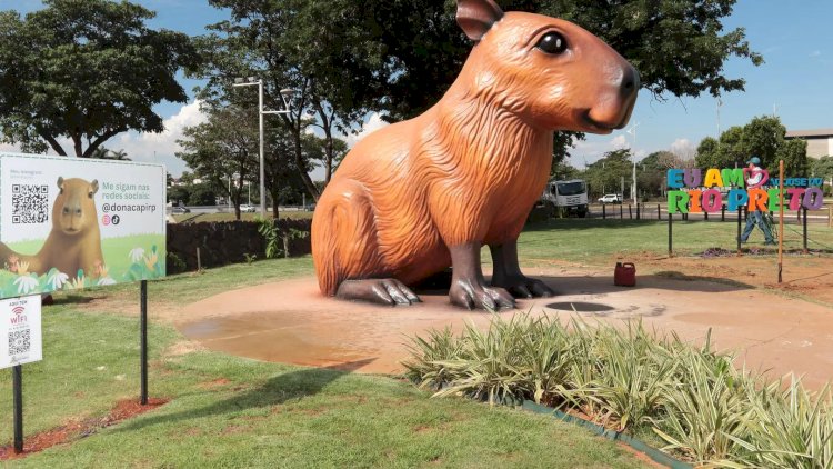 Após reparos, Dona Capi é reaberta vigiada por câmera