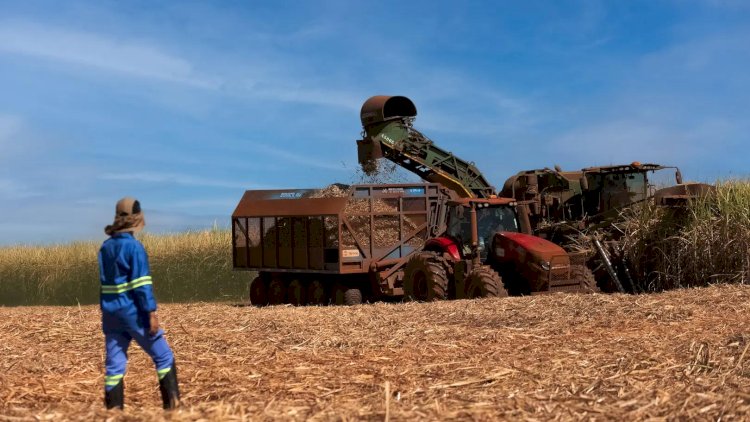 Tereos prevê moagem de 18 mi de toneladas