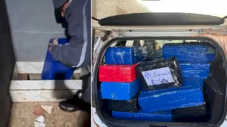 PM de Catiguá encontra 'bunker' em chiqueiro com duas toneladas de maconha