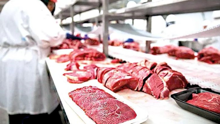 Limite de importação da China afeta frigoríficos e pressiona mercado do boi