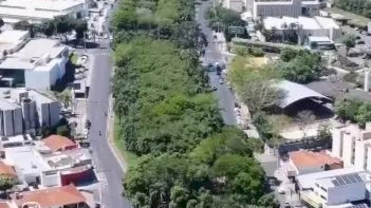 Justiça suspende licitação de obra que prevê derrubada de árvores na Murchid