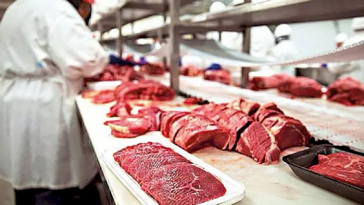 Carne bovina