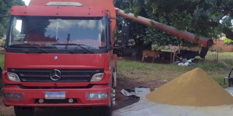 Quadrilha que comercializava ração furtada é detida pela Polícia Ambiental em Votuporanga