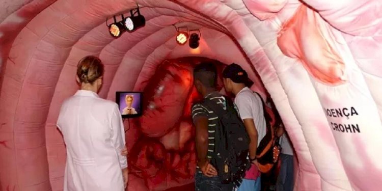 Exposição em Rio Preto leva visitantes a 'passeio' por intestino grosso de 20 metros