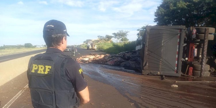 Caminhão carregado com couro animal tomba na BR-153 e trânsito fica interditado em Rio Preto