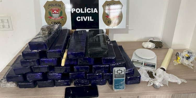 Polícia Civil apreende 30 tijolos de maconha em Bady Bassitt