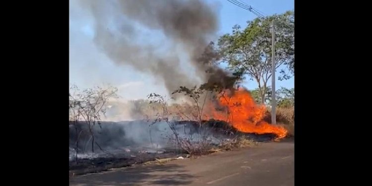 Homem é detido após atear fogo em vegetação em Rio Preto