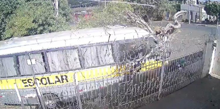 Ônibus escolar bate contra árvore no bairro Eldorado, em Rio Preto