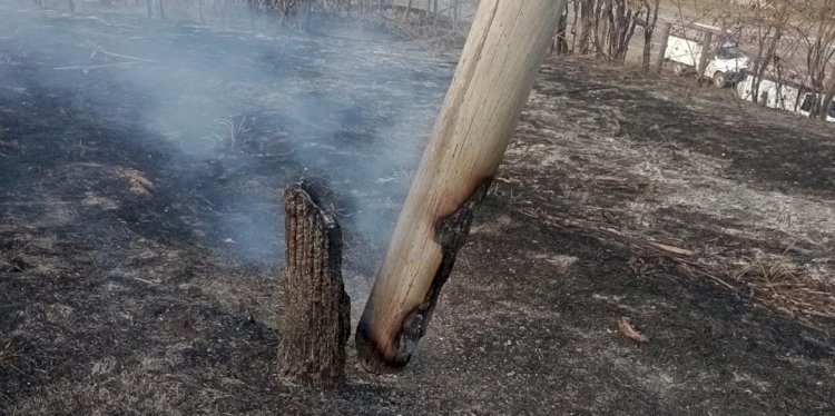 Queimadas e incêndios afetam sistema elétrico na região de Rio Preto