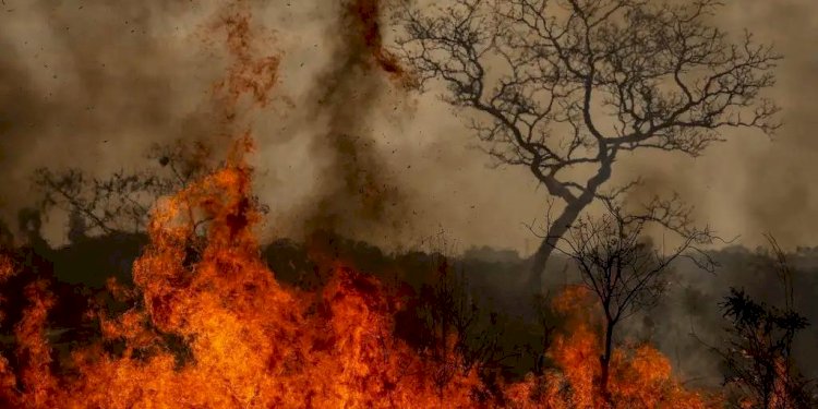 Queimadas em São Paulo: o que se sabe até agora sobre os incêndios