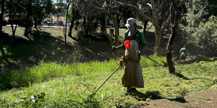 ALERTA  Prefeitura de Rio Preto vai usar drones no combate a dengue