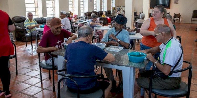 Artista plástica Cristiana de Freitas faz oficinas de azulejaria em Rio Preto