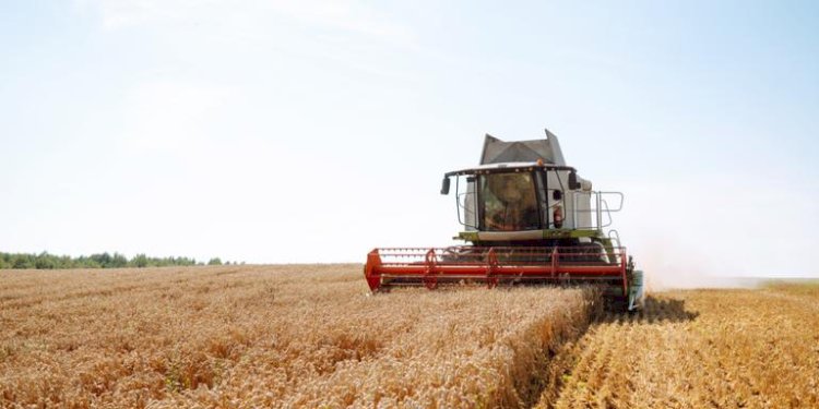 Agropecuária fortalece economia da região de Rio Preto