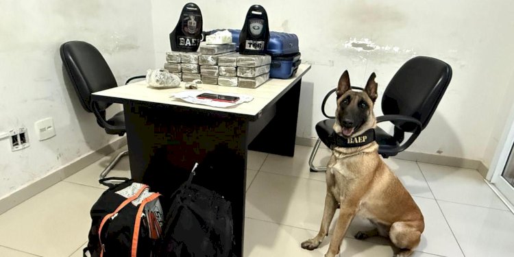 Adolescente é apreendido com 16 tijolos de maconha em ônibus interestadual em Rio Preto