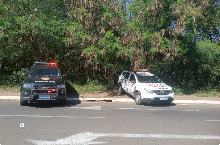 Corpo é encontrado em área de mata em Rio Preto