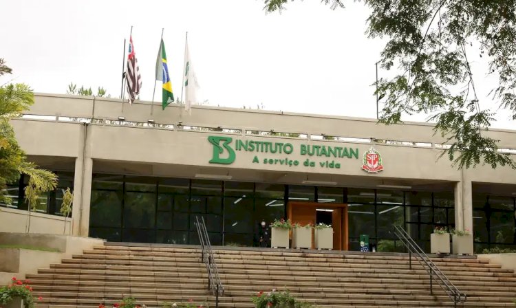 Butantan se prepara para testar vacina contra gripe aviária em humanos