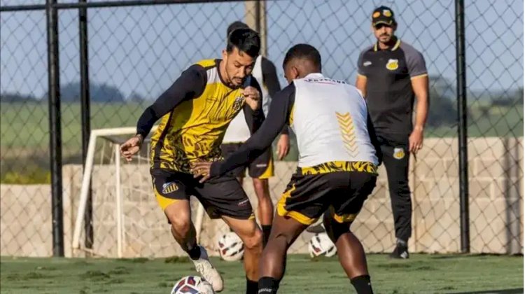 Novorizontino quer acabar com tropeços contra o Botafogo