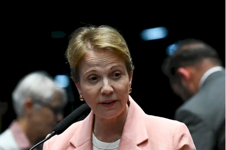 Senadores se reúnem com empresários americanos