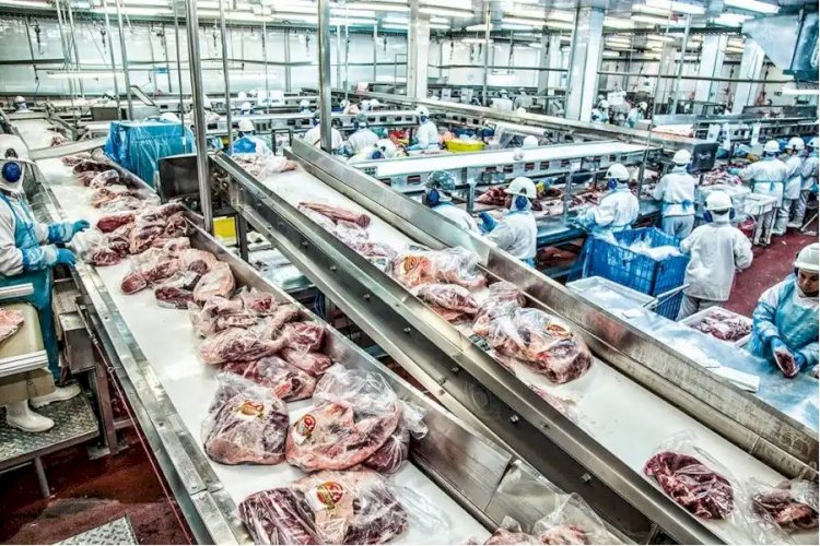 Empresários da região de Rio Preto temem efeito de tarifas de Trump