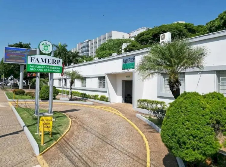 Famerp, Rede Toxo e Fiocruz reúnem especialistas para discutir os avanços sobre toxoplasmose