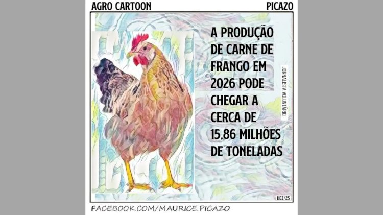 Produção de carne de frango em 2026 pode chegar a cerca de 15,86 milhões de toneladas