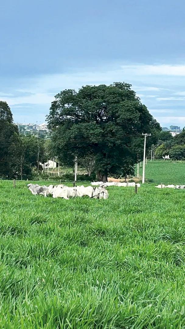 Centro de Pecuária Sustentável