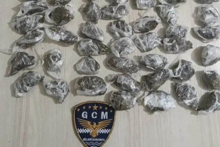 Guarda Municipal apreende droga enterrada em pasto de Rio Preto