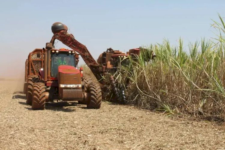 Superávit do agro paulista