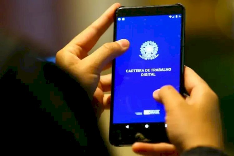 Rio Preto tem 658 vagas de empregos