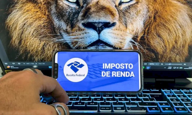 Receita abre consulta a lote da malha fina do Imposto de Renda