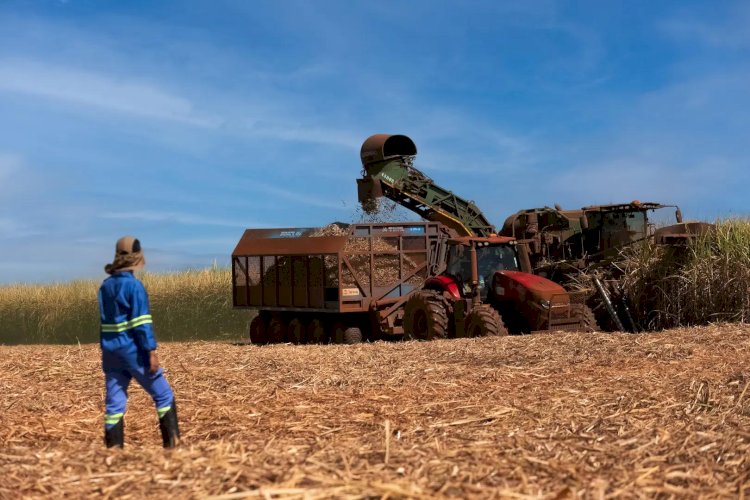 Tereos prevê moagem de 18 mi de toneladas