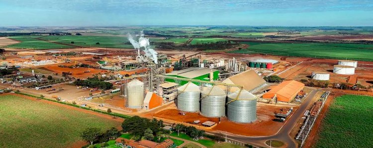 Cargill tem lucro de R$ 1,7 bilhão em 2025