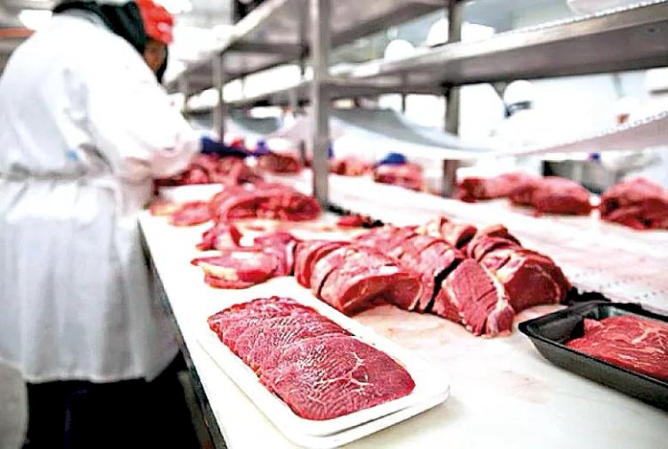 Limite de importação da China afeta frigoríficos e pressiona mercado do boi