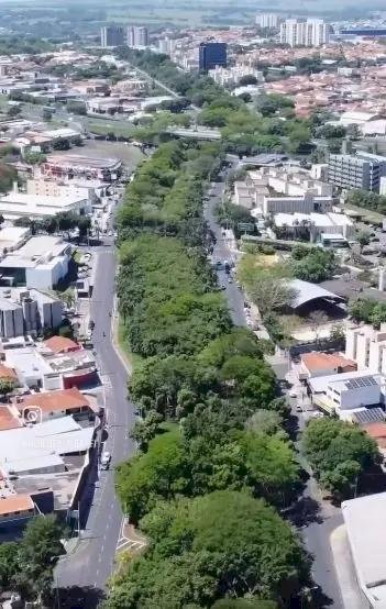 Justiça suspende licitação de obra que prevê derrubada de árvores na Murchid