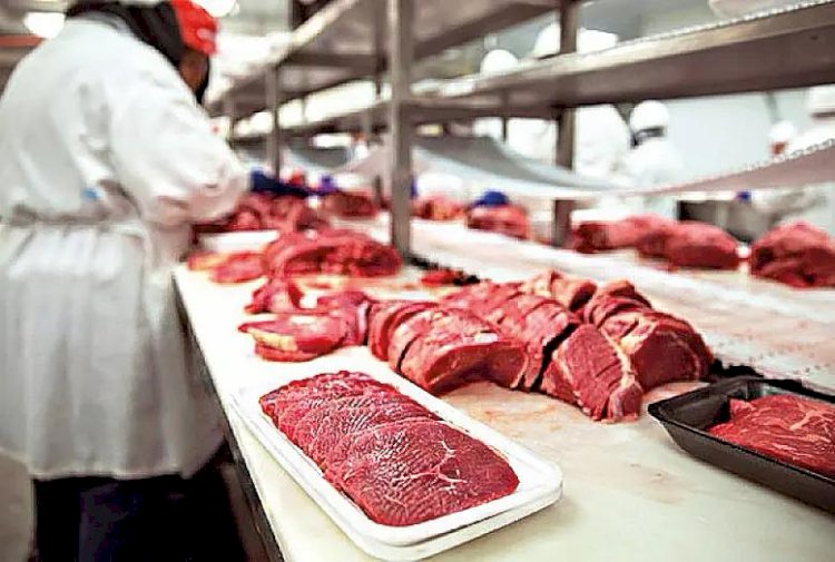 Carne bovina