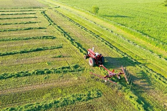 Governo Federal amplia alcance da renegociação de dívidas rurais